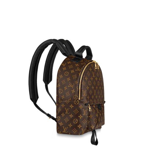 Louis Vuitton Palm Springs MM Backpack Monogram