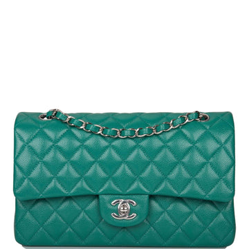 Chanel Medium Classic Double Flap Bag Green Caviar