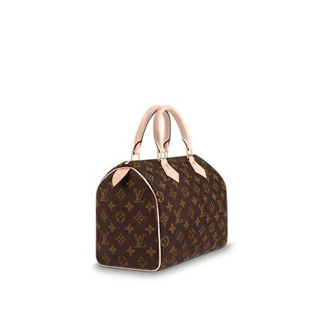 Louis Vuitton Speedy 25 Monogram