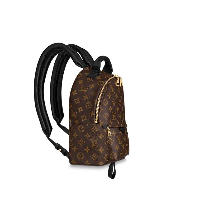 Louis Vuitton Palm Springs PM Backpack Monogram