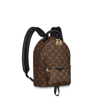Louis Vuitton Palm Springs PM Backpack Monogram