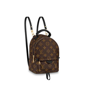 Louis Vuitton Palm Springs Mini Backpack Monogram