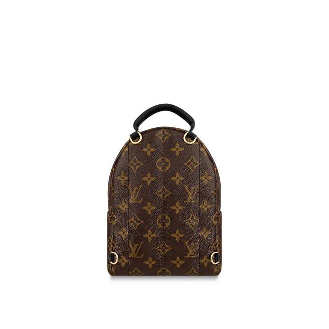 Louis Vuitton Palm Springs Mini Backpack Monogram